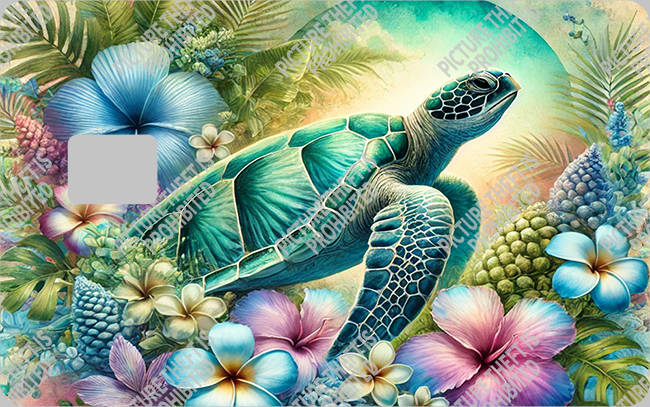 Bank  Card Sticker-BC-2940